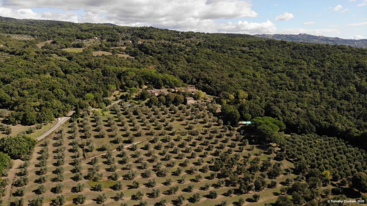 Pieve Di Caminino Historic Farm Villa Podere Caminino Kültér fotó